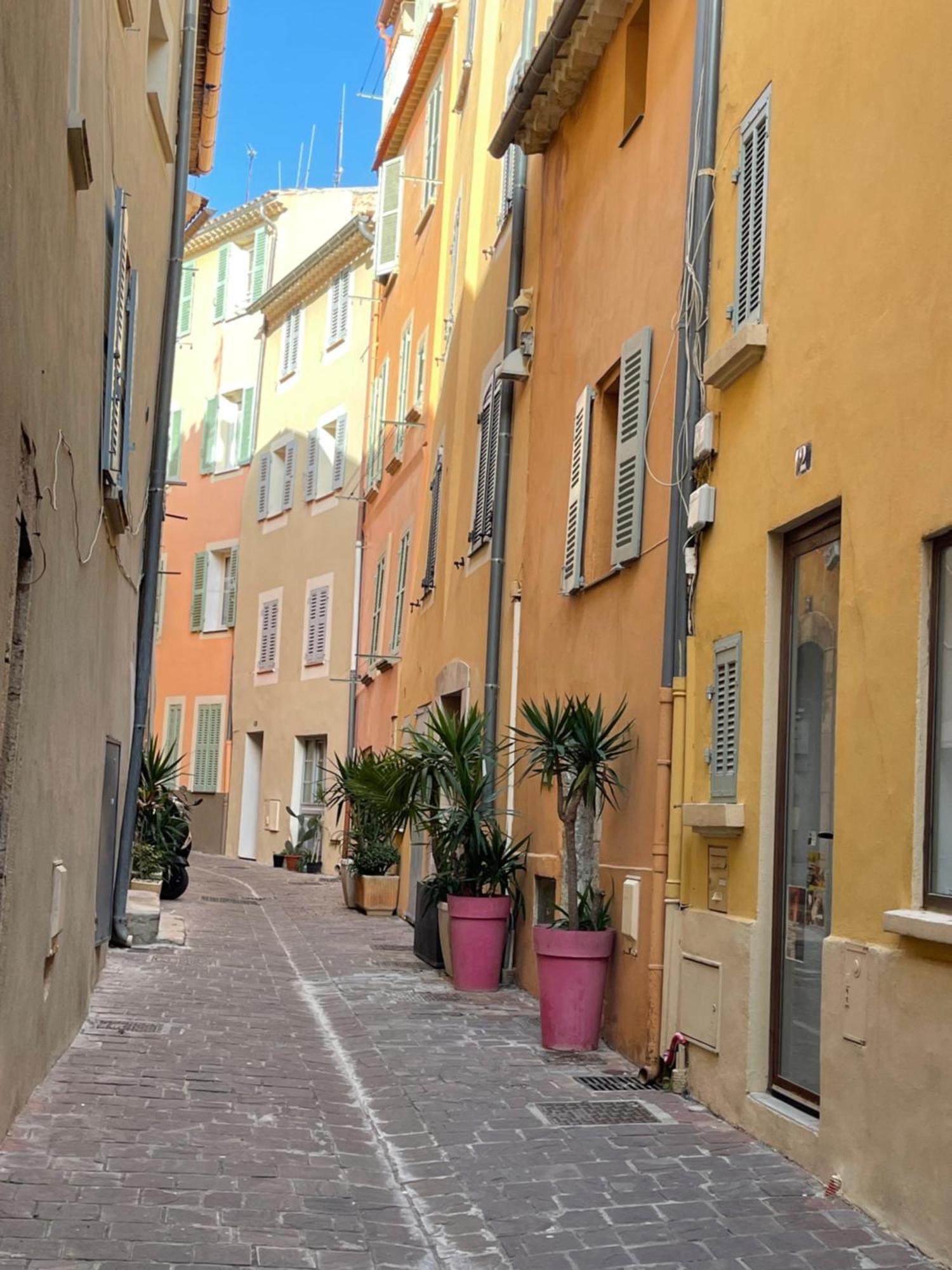 Le Palmae, Serenite Et Charme En Coeur De Ville Hyeres Exterior photo